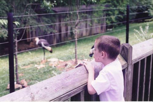 Nashville Zoo (8/97)