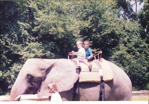 Nashville Zoo (8/97)