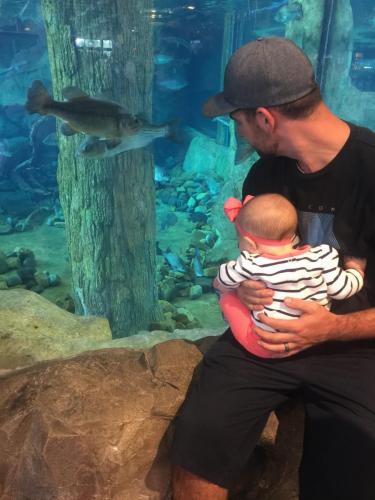 Checking out the fish with Dad @ Bass Pro