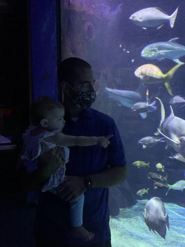 Visiting the VA Beach Aquarium  (9/20)